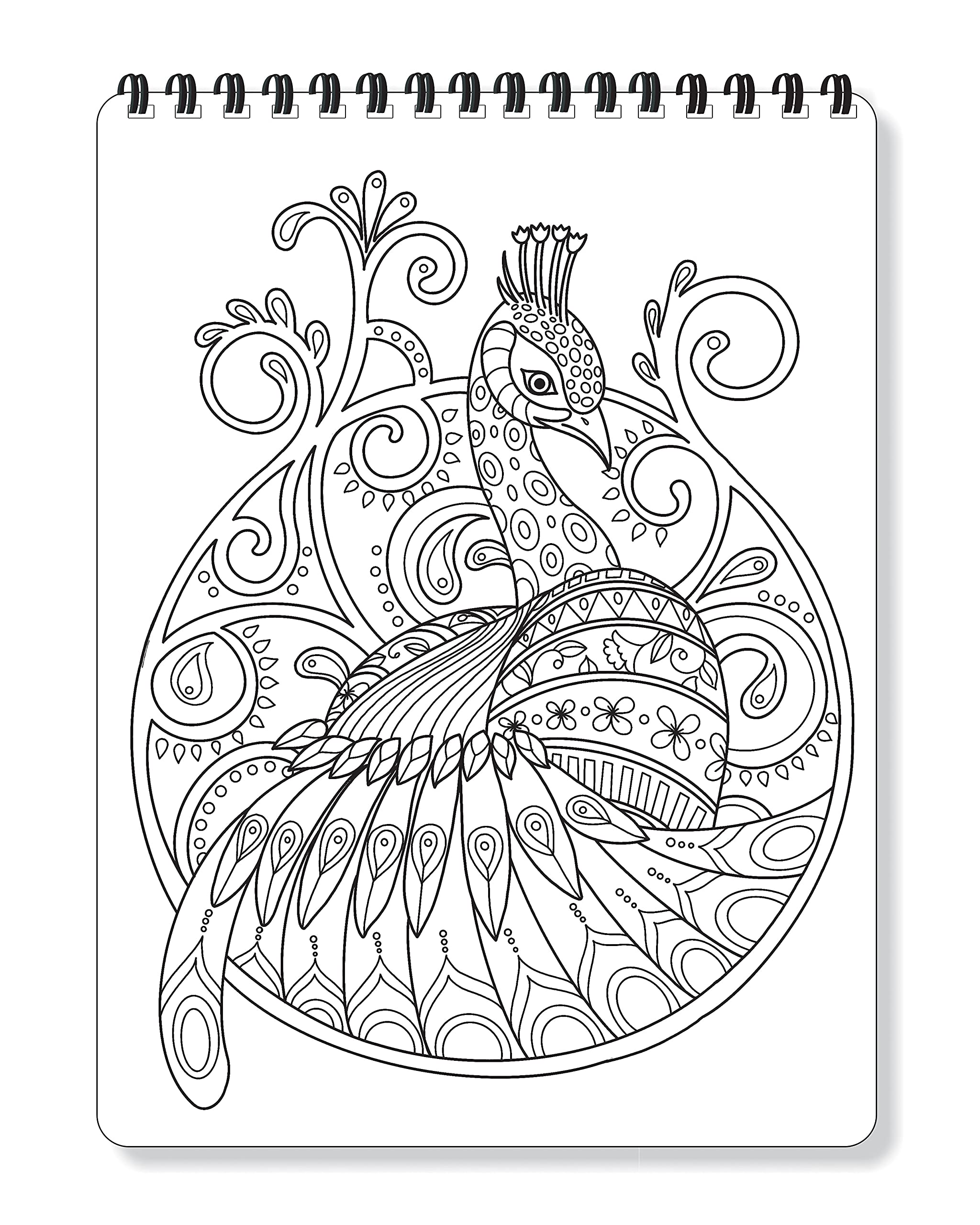 how ti draw a peacock | Peacock coloring pages, Peacock drawing, Bird  coloring pages